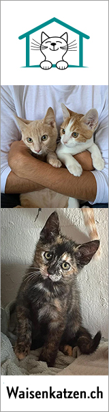 Waisenkatzen.ch - UR