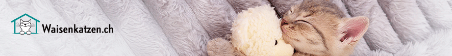 Waisenkatzen.ch - Topbanner - AR