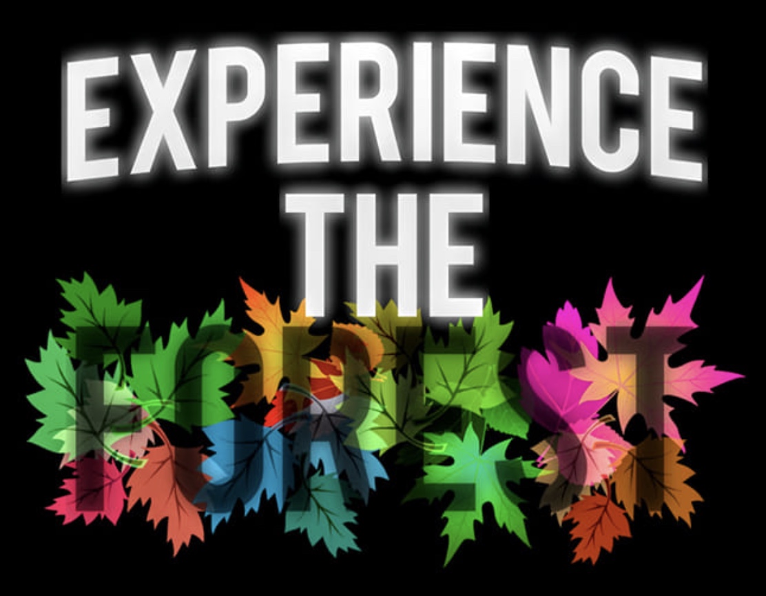 Experience The Forest Experience The Forest