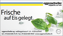 Eggenschwiler AG