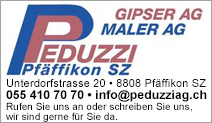 Peduzzi Gipser AG / Peduzzi Maler AG