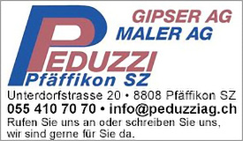 Peduzzi Gipser AG / Peduzzi Maler AG