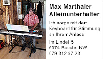 Max Marthaler Alleinunterhalter