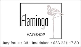 Flamingo Hair-Shop