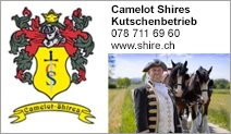Camelot Shires Kutschenbetrieb 