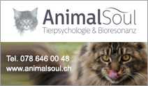 AnimalSoul GmbH