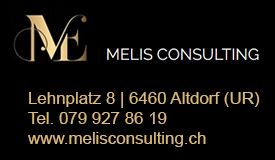 MELIS CONSULTING