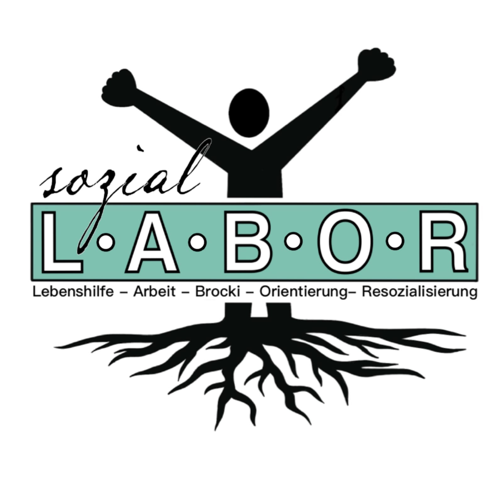 Verein Soziallabor Verein Soziallabor