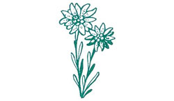 Jodlerklub Edelweiss Untersiggenthal Jodlerklub Edelweiss Untersiggenthal