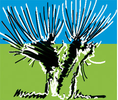 Naturschutzverein am Alten Rhein Naturschutzverein am Alten Rhein