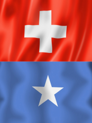 Somalischer Integrationsverein der Ostschweiz Somalischer Integrationsverein der Ostschweiz
