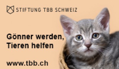  Stiftung TBB Schweiz
