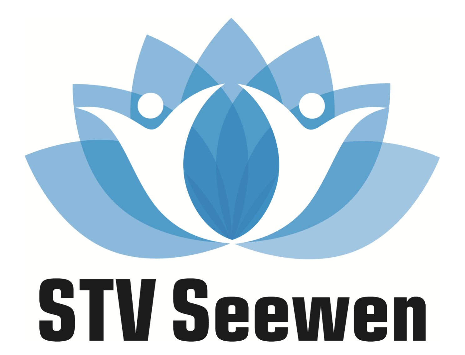 STV Seewen STV Seewen